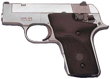 Пистолет Smith & Wesson Model 2213 (США)