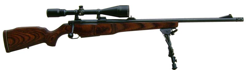 Снайперская винтовка EMM 992 (Хорватия)